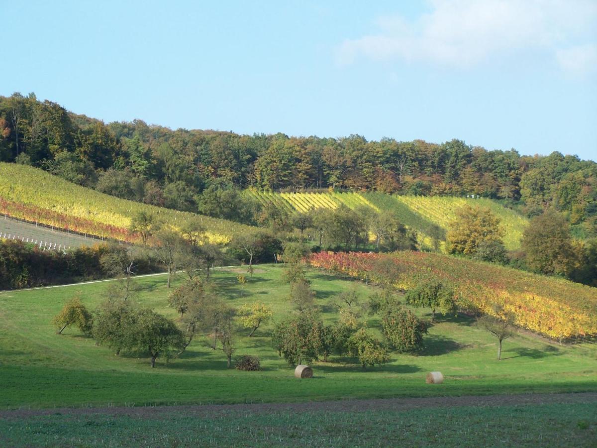 Weinhof Grosch Appartement Sugenheim
